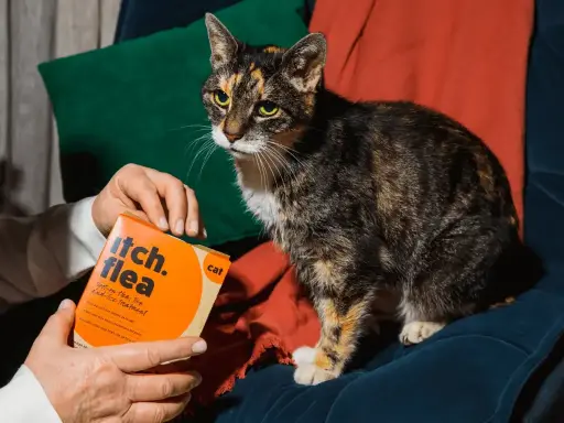 貓用跳蚤點滴劑