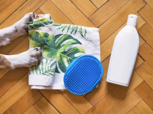 狗洗髮水 （100ml）