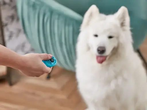 答題器訓練工具